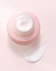 Sulwhasoo Bloomstay Vitalizing Cream EX hookskorea